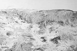 cotentin-dream