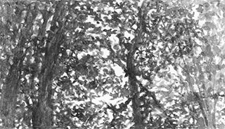 variations