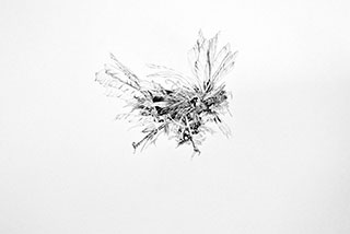 volatile-2