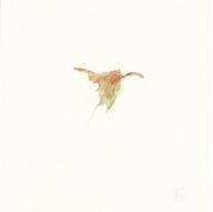 herbier01
