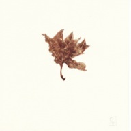 herbier05