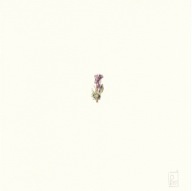 herbier08