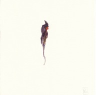 herbier09