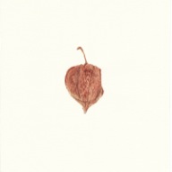 herbier14