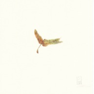 herbier18
