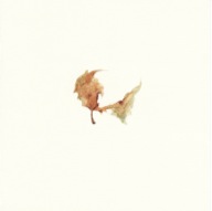 herbier29